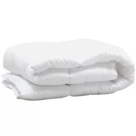 Familia paplan (téli)