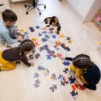 Puzzle és kirakó